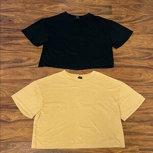 Wild Fable Black and Tan Raw Edge Crop Tops